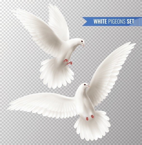 Pray Image